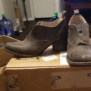 Freebirds by Steven Sadie